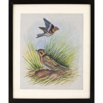 Two Birds in Tall Grass Paper Painting 13
