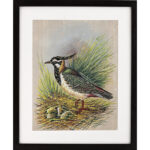 Hoopoe sitting on nest paper painting 13