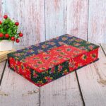 Red Blue Katha Gudari Saree Box 18