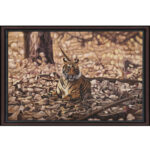 Tiger on Rocks Canvas Painting 3'x2'